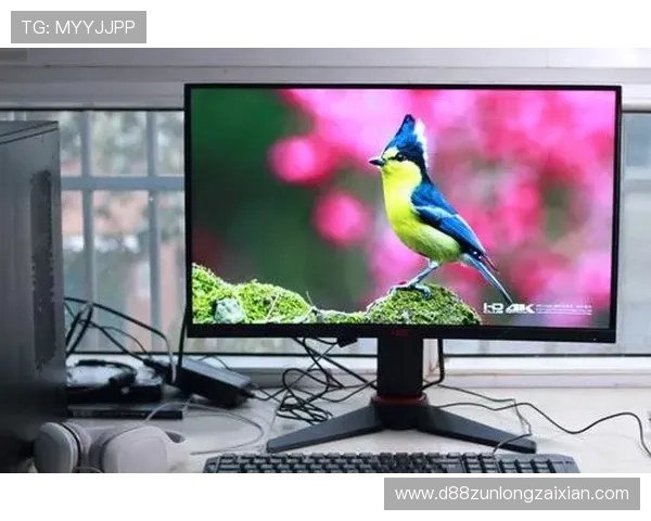 尊龙z6在线登录入口全面解析，确保用户安全顺畅体验的详细操作指南